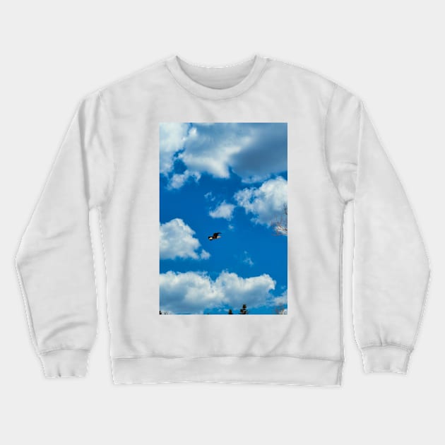 Free as An Eagle Crewneck Sweatshirt by rconyard